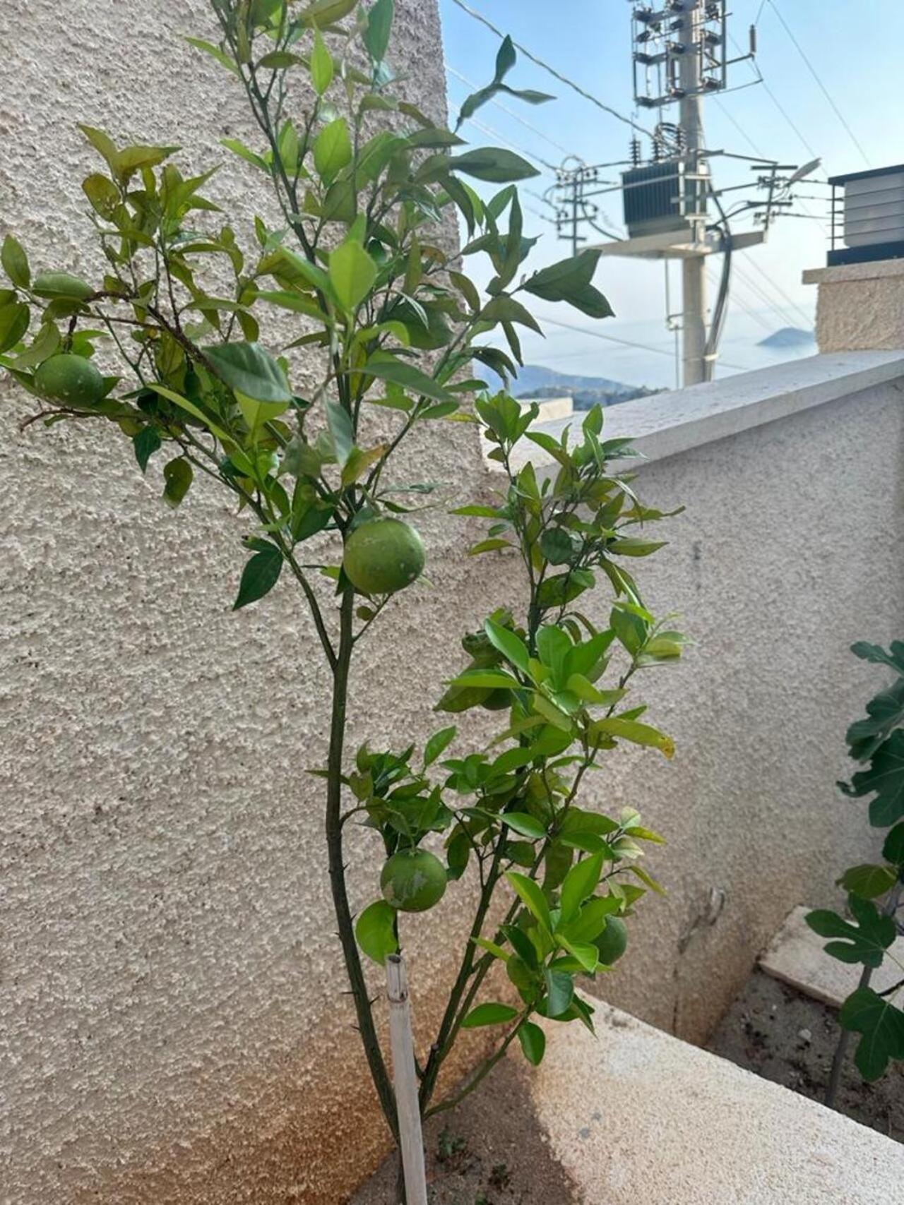 Kalkan Villa Beauty Honeymoon Каш Екстер'єр фото